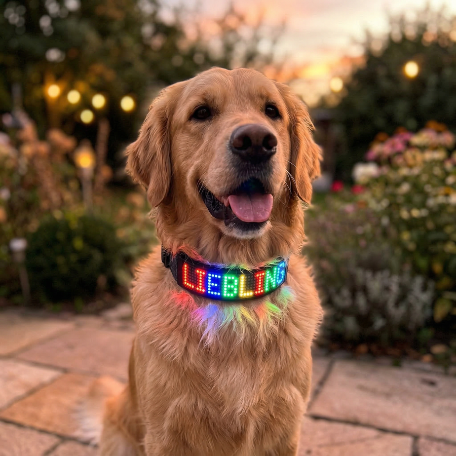 Dein Text. Deine Farben. Per App.