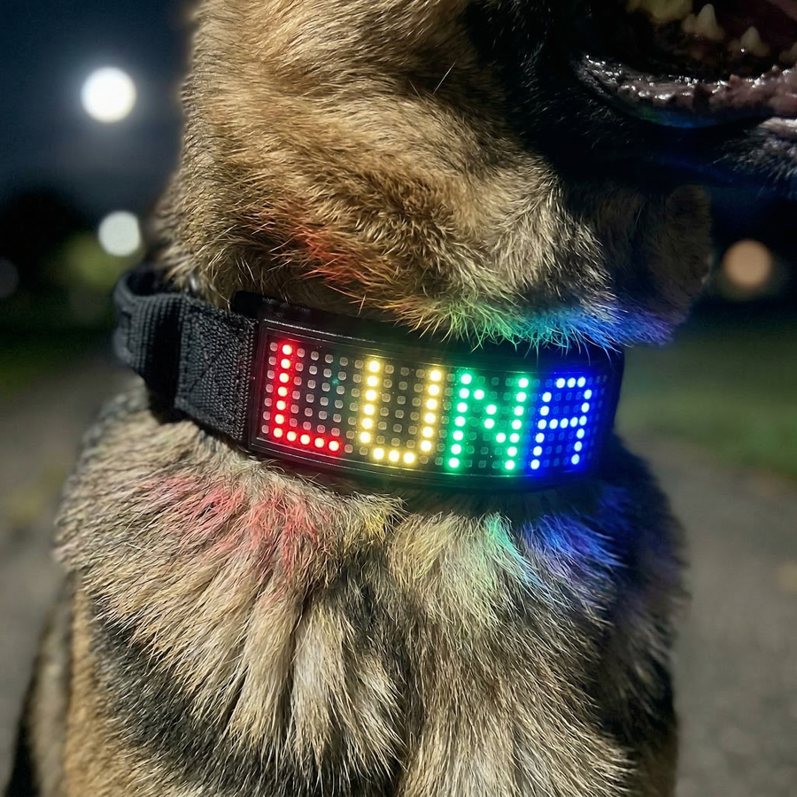 Das Geschenk, nach dem jeder fragt.