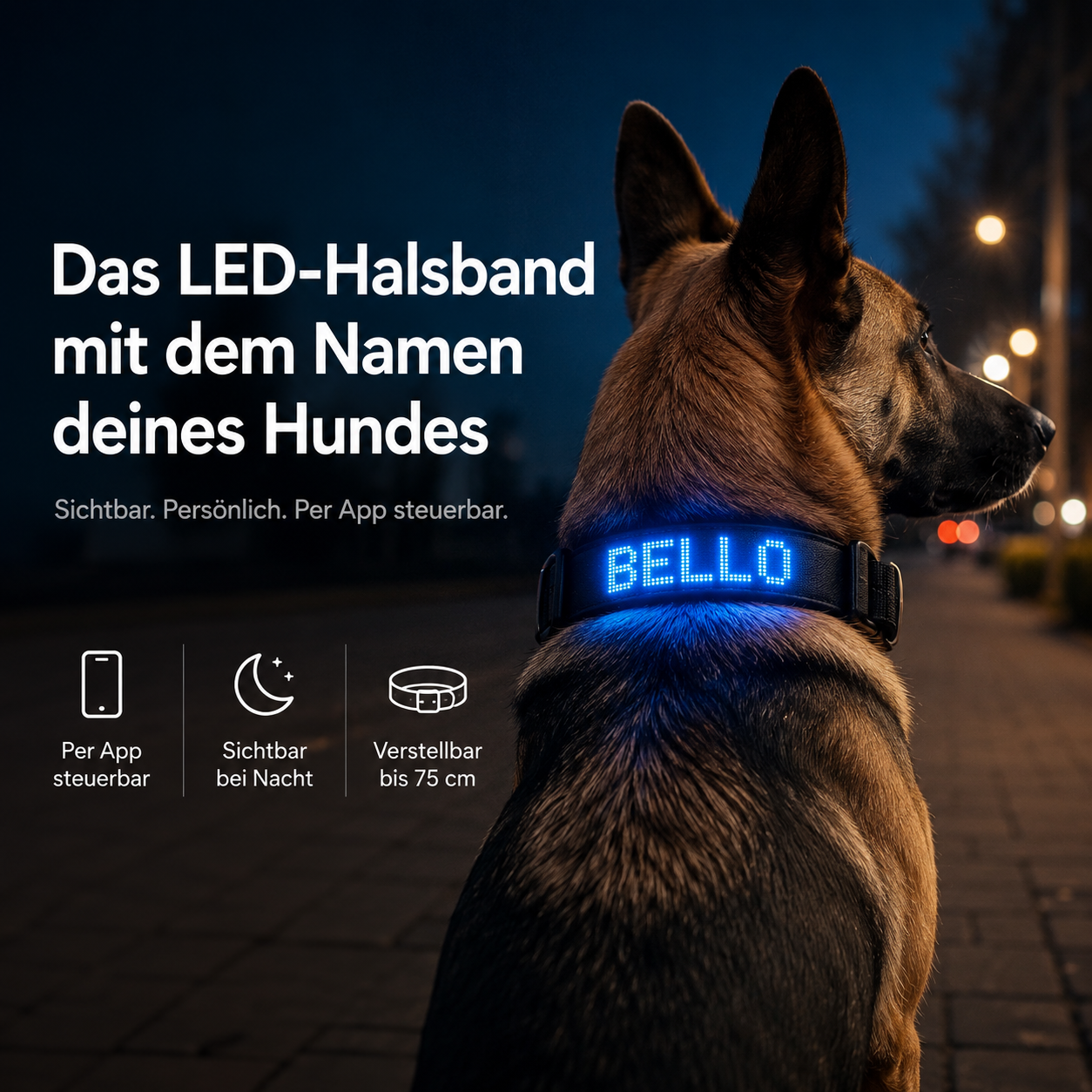 PetFlare LED-Halsband für Hunde – mit Namen & App-Steuerung