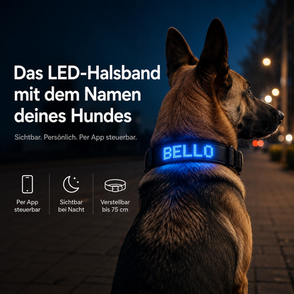 PetFlare LED-Halsband für Hunde – mit Namen & App-Steuerung