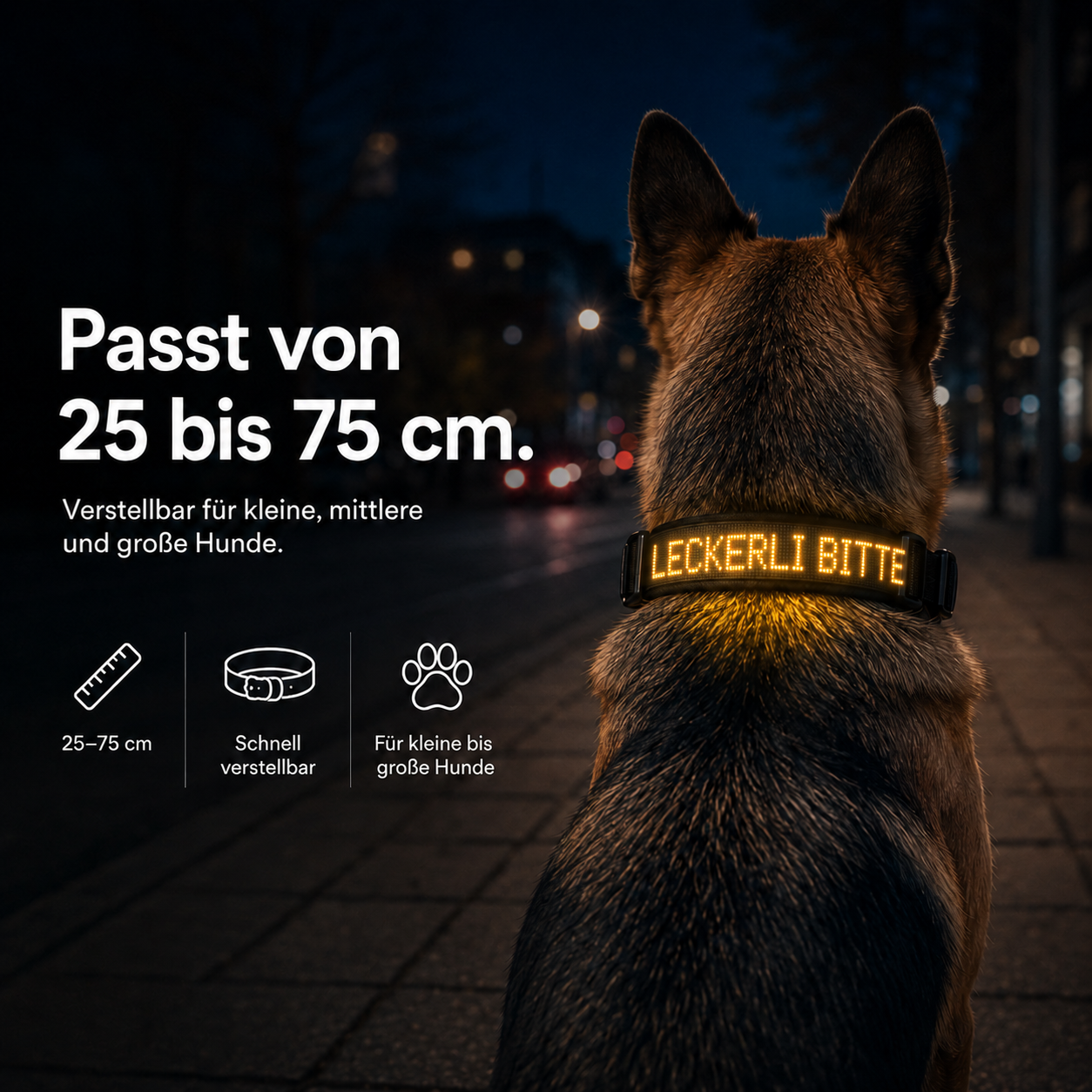 PetFlare LED-Halsband für Hunde – mit Namen & App-Steuerung
