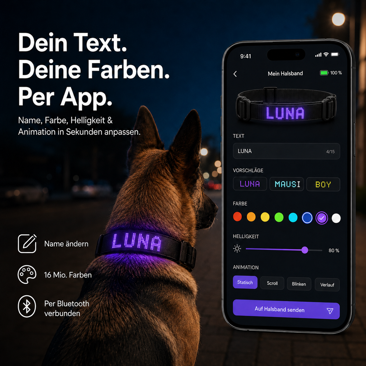 PetFlare LED-Halsband für Hunde – mit Namen & App-Steuerung