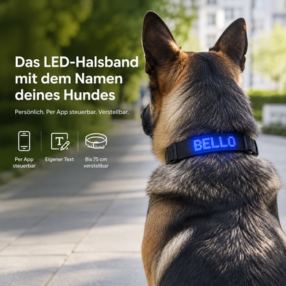 PetFlare LED-Halsband für Hunde – mit Namen & App-Steuerung