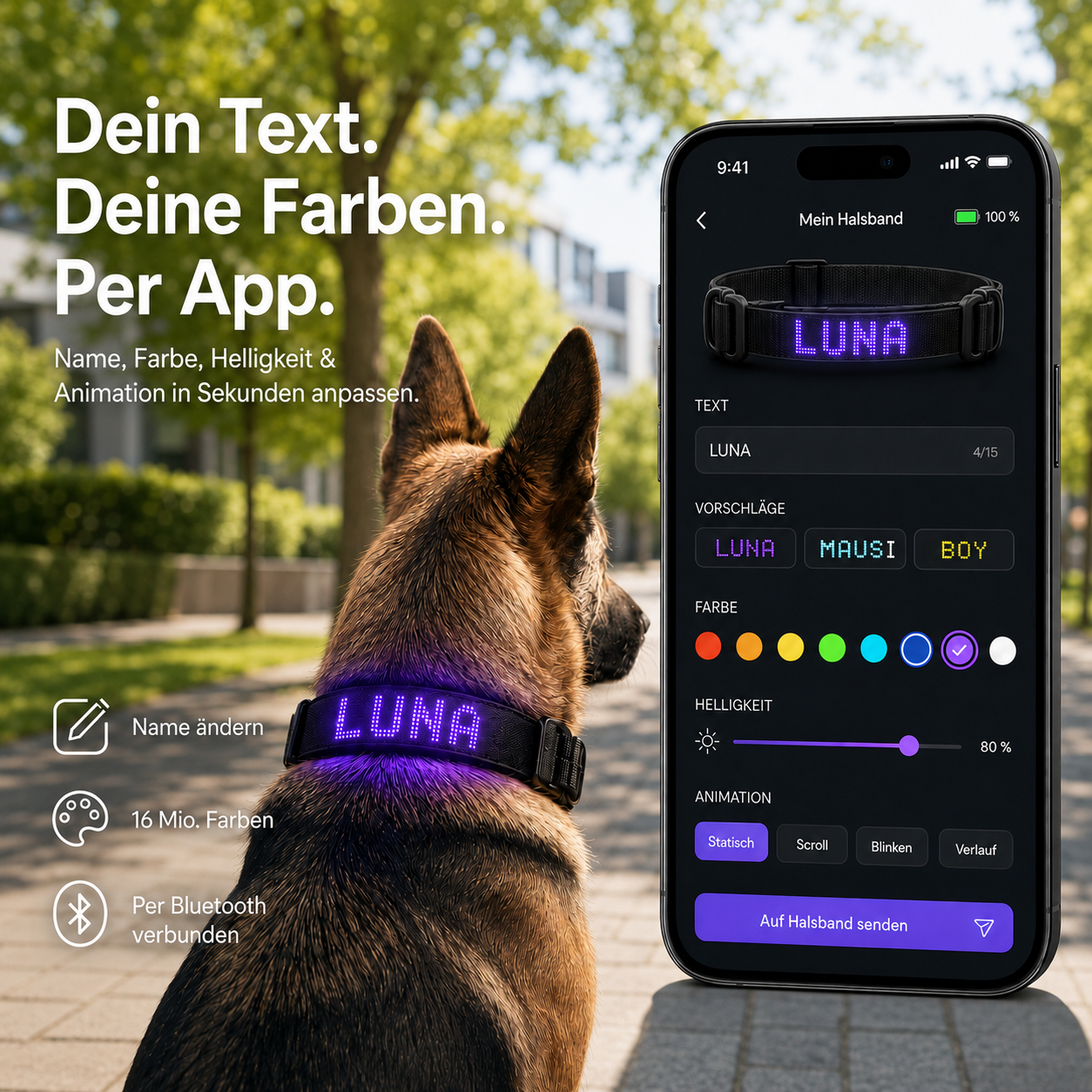 PetFlare LED-Halsband für Hunde – mit Namen & App-Steuerung