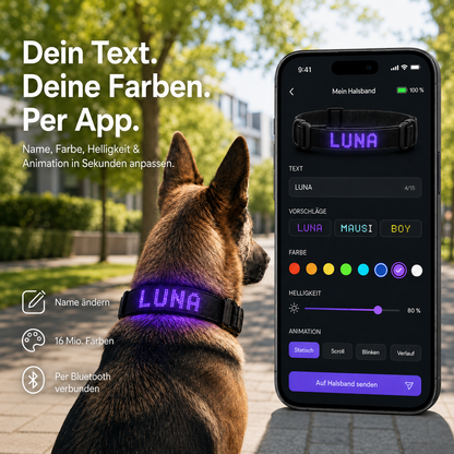 PetFlare LED-Halsband für Hunde – mit Namen & App-Steuerung