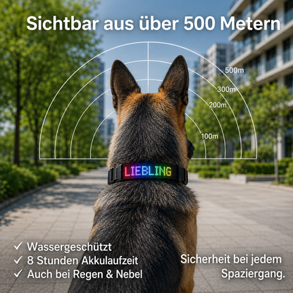 PetFlare LED-Halsband für Hunde – mit Namen & App-Steuerung