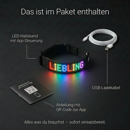 PetFlare LED-Halsband für Hunde – mit Namen & App-Steuerung