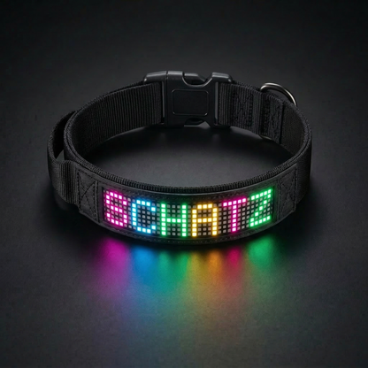 PetFlare LED-Halsband für Hunde – mit Namen & App-Steuerung